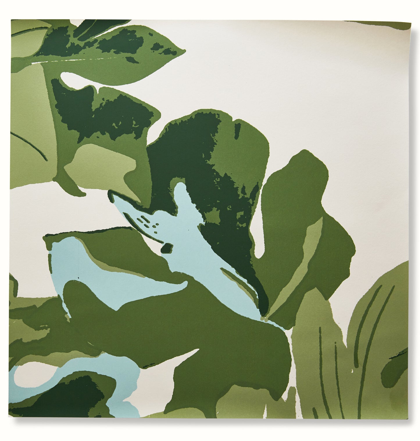 Fig Leaf - Original on White