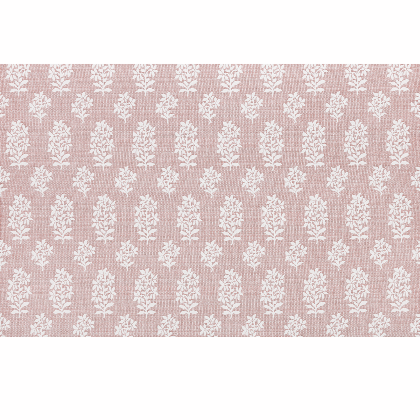 Asha - Pink