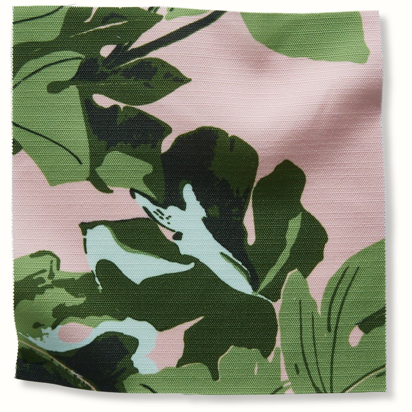 Fig Leaf - Original on Pink