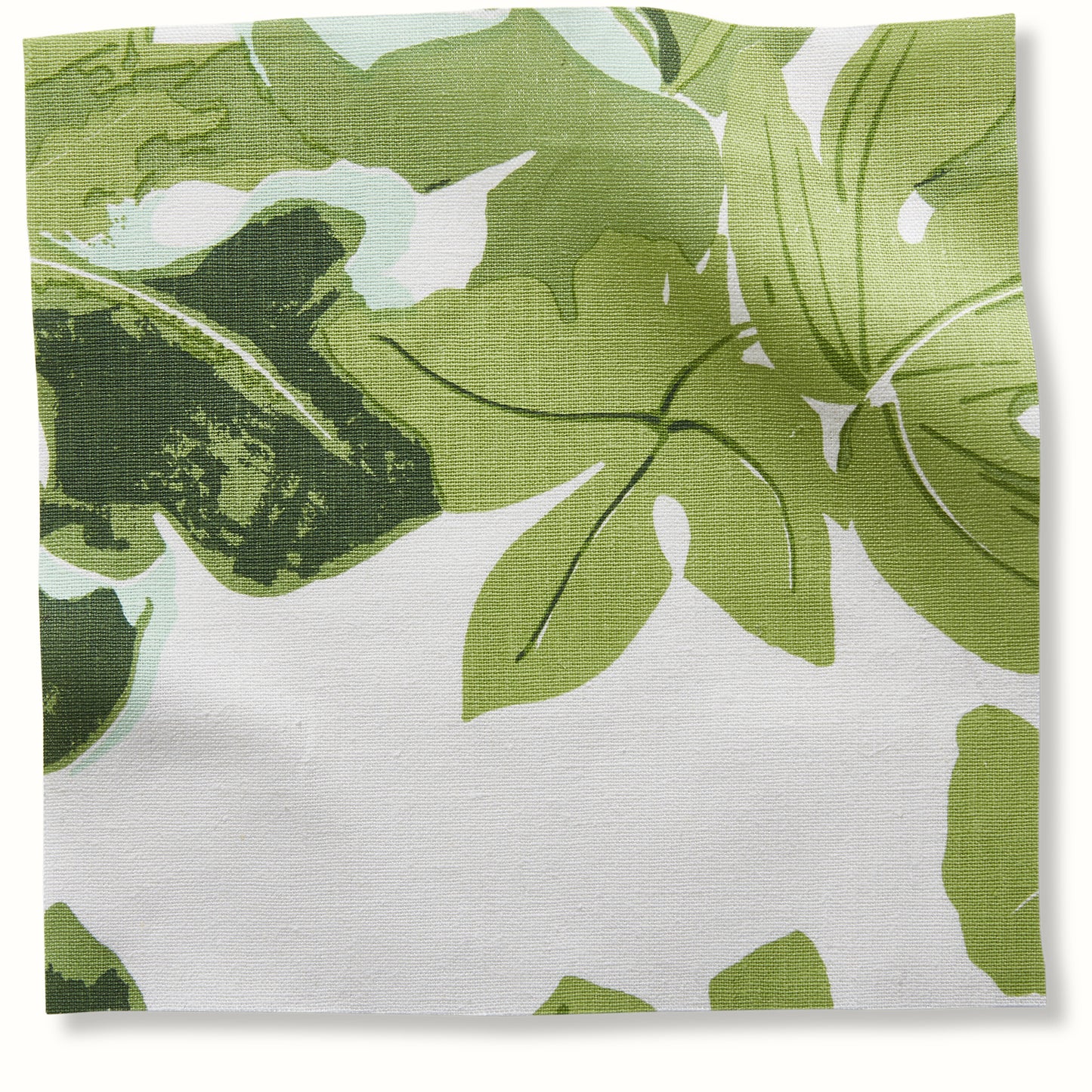 Fig Leaf - Faded on Hemp