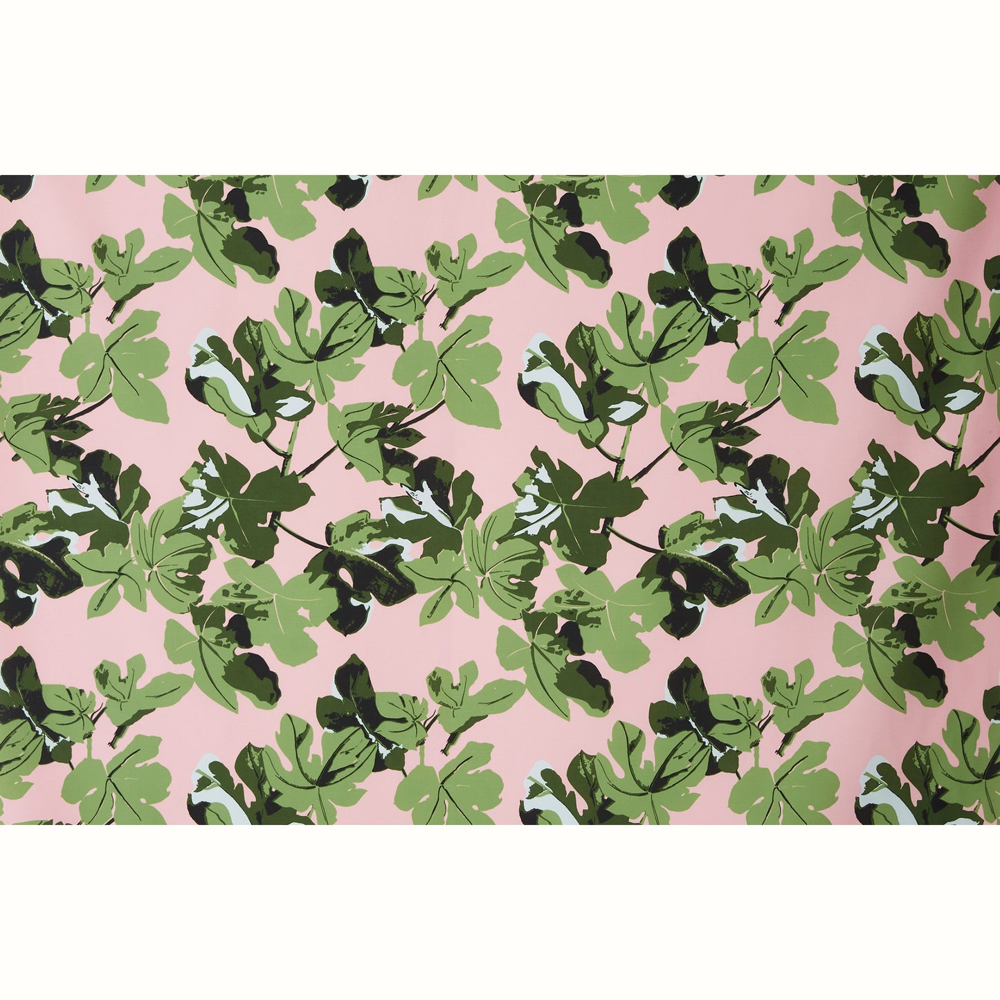 Fig Leaf - Original on Pink