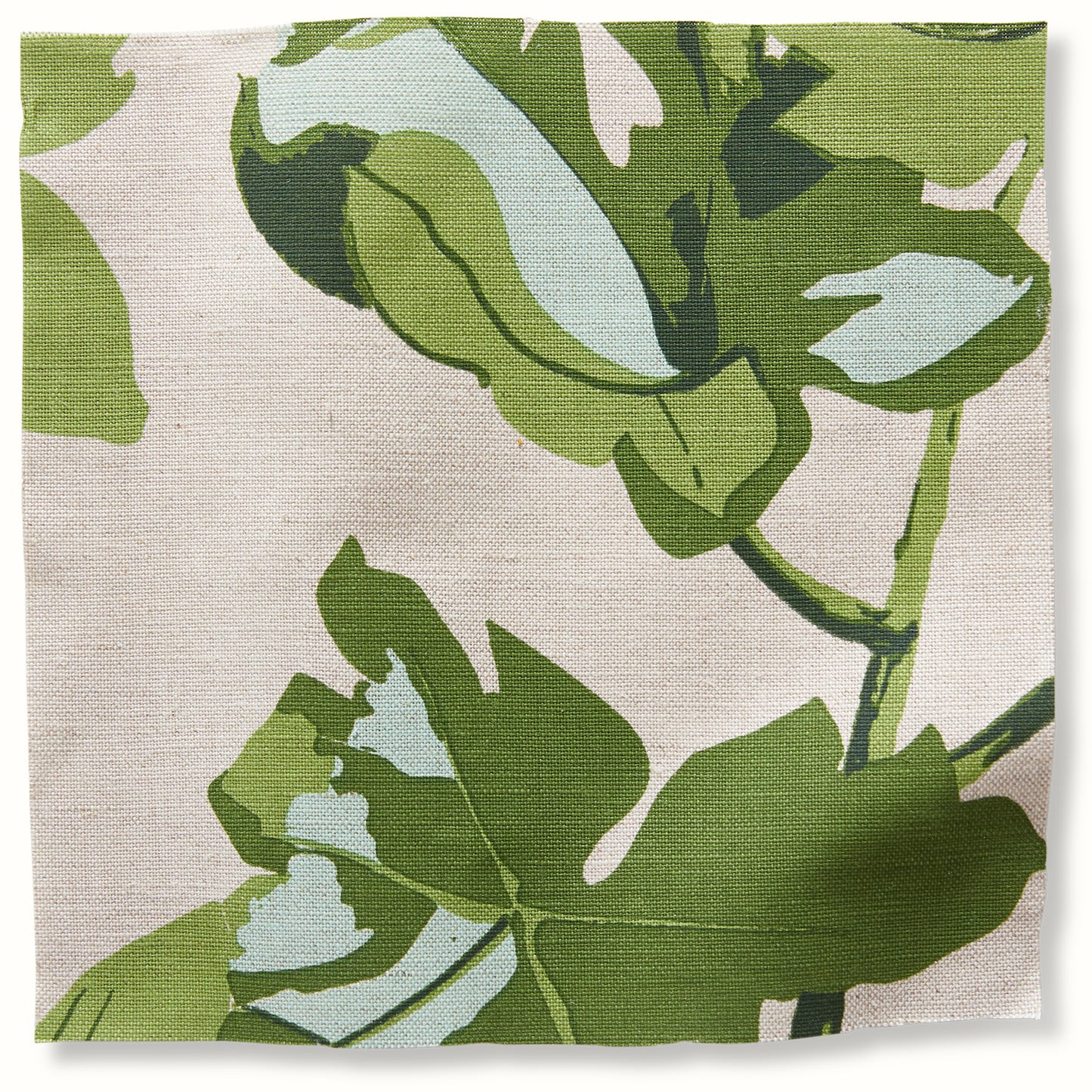 Fig Leaf - Original on Natural