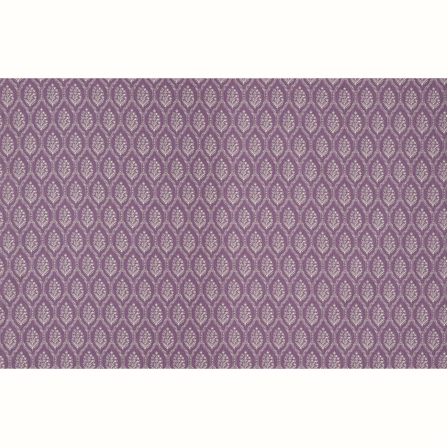 Jaali - Amethyst