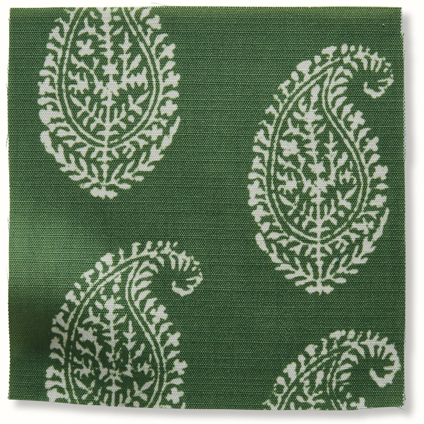 Kashmir Paisley - Green