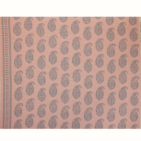 Kashmir Paisley - Blue/Pink