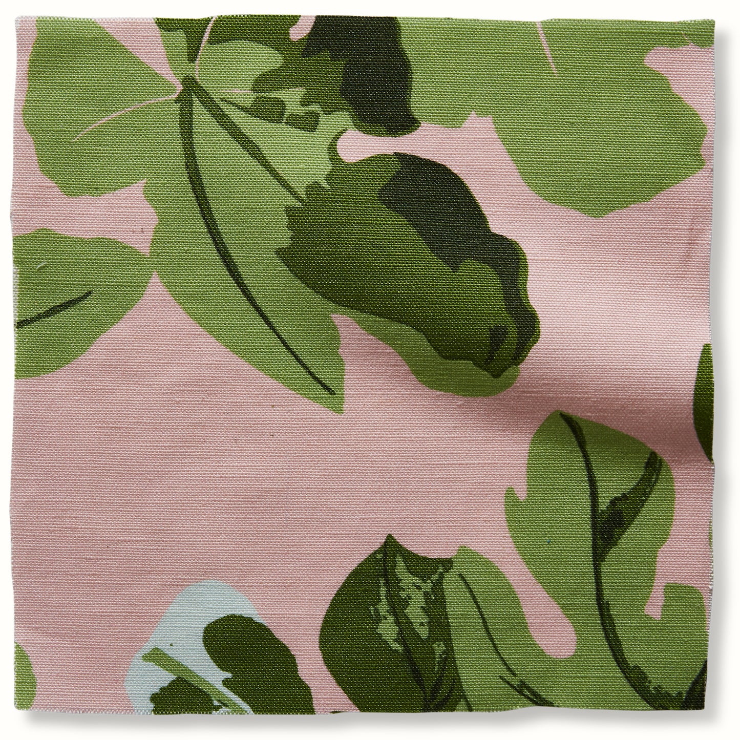 Fig Leaf - Original on Pink