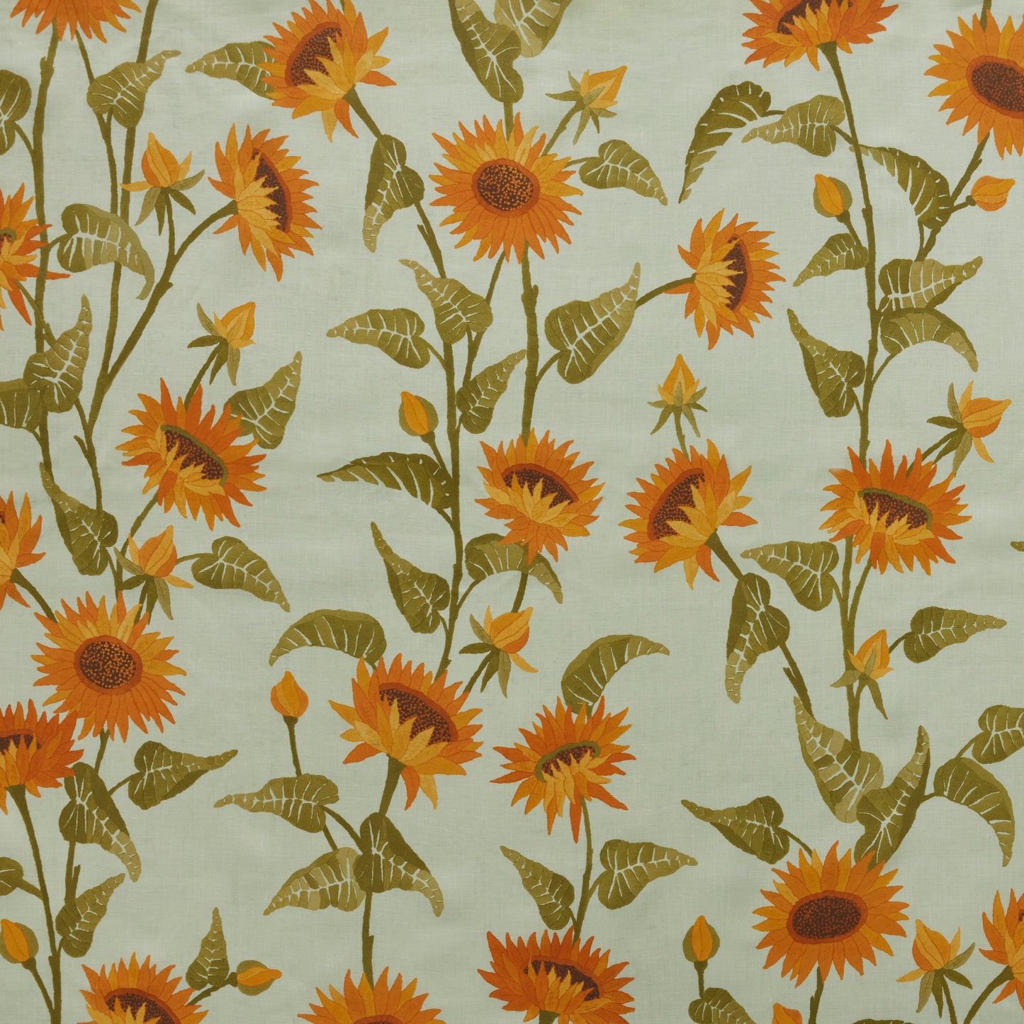 Sunflower Vine - Sky